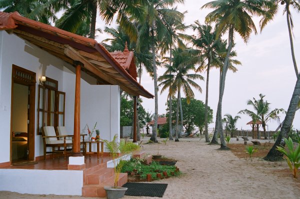 Café Buddha Hut