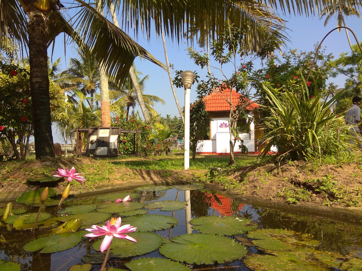 Café Buddha Hut